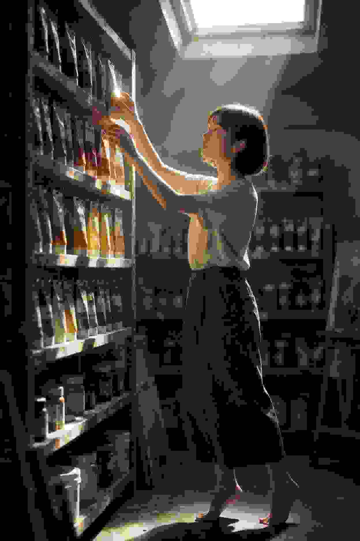 龙珠传说